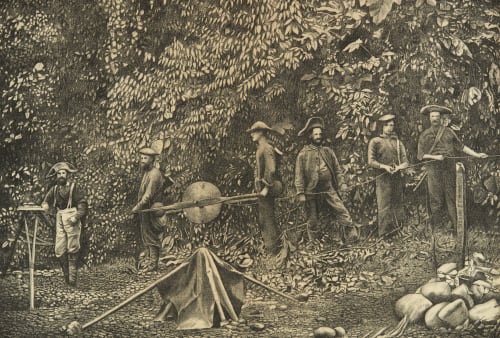 Running the Telegraph. Darien Expedition. O'Sullivan, Timothy  (American, 1840-1882)