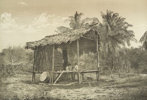 Native Hut, Near Turbo Gulf of Darien. O'Sullivan, Timothy  (American, 1840-1882)