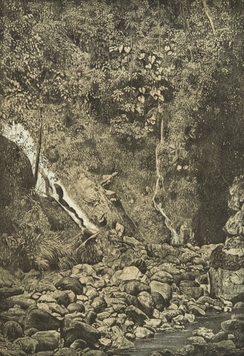 Falls of Quebrada del Mar, Limon Bay. O'Sullivan, Timothy  (American, 1840-1882)
