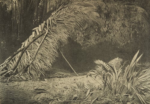 Surveyor’s Hut. Darien Expedition. O'Sullivan, Timothy  (American, 1840-1882)