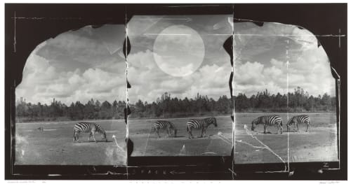 Parallel Worlds Serbin, Vincent  (American, b.b.1951)