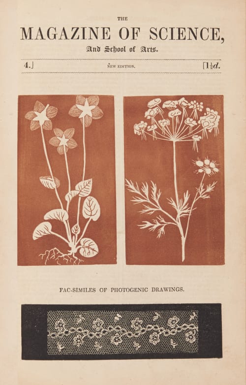 Facsimiles of Photogenic Drawings G.F. 