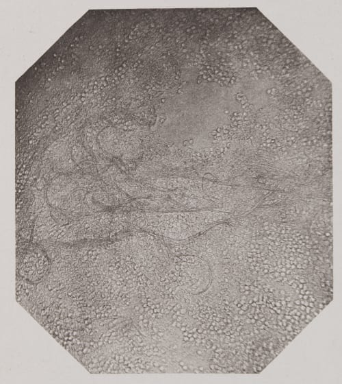 Pl. IV Troup, Francis  (Scottish)