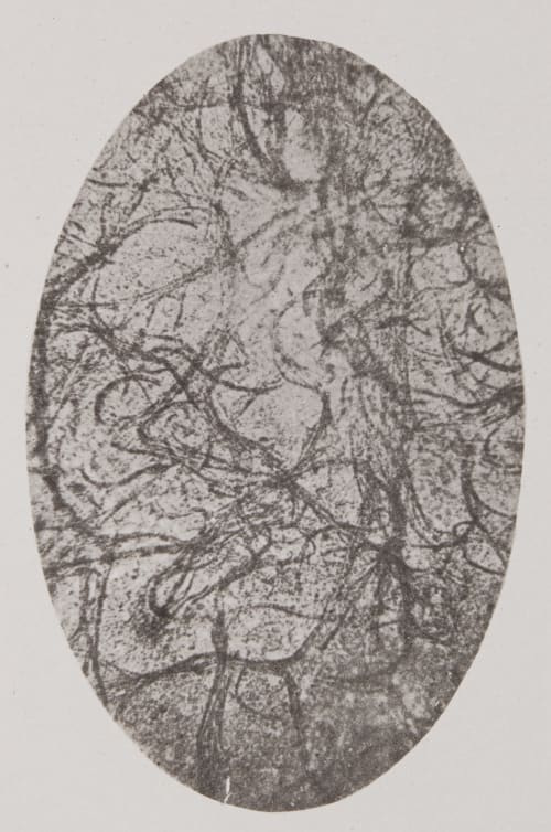 Pl. VI Troup, Francis  (Scottish)