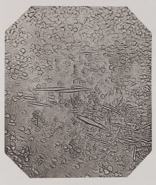 Pl. XVIII Troup, Francis  (Scottish)