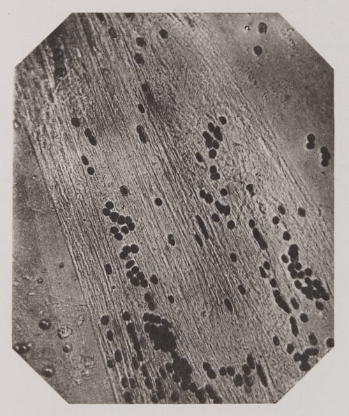 Pl. XXI Troup, Francis  (Scottish)