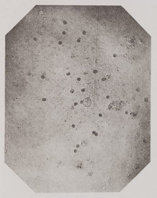 Pl. XXIII Troup, Francis  (Scottish)
