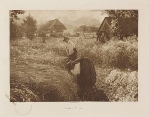 Early Morn Stieglitz, Alfred  (American, 1864-1946)