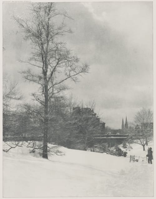 A Winter Sky – Central Park Stieglitz, Alfred  (American, 1864-1946)