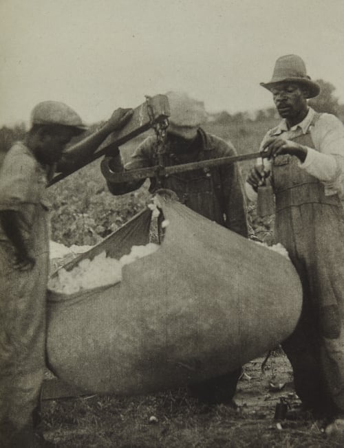 Plate 81 Ulmann, Doris  (American, 1882-1934)