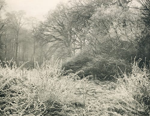 Rauhfrost Lange, Léon 