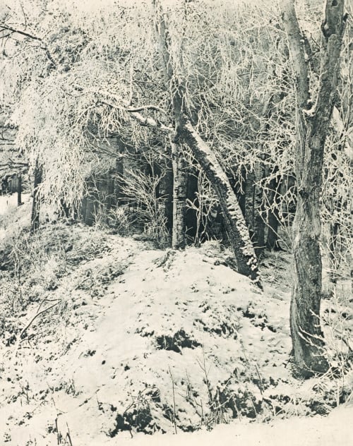Winterlandschaft Schulz, G.  (1849-1912)