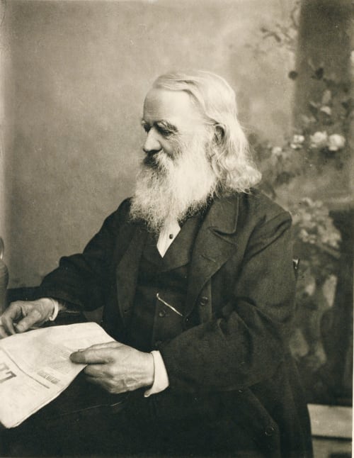 Der Alte Politiker Scolik, Charles  (American, 1854-1928)