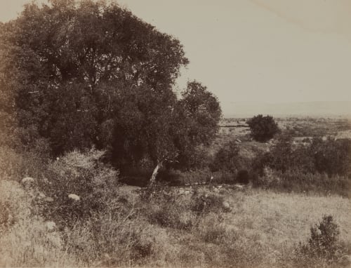 Sommet de Tell-El-Kady Vignes, Louis  (French, 1831-1896)