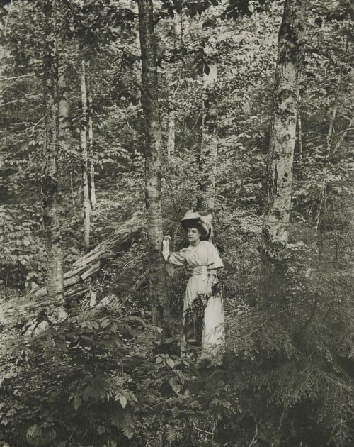 In the Woods Walker, W.C. 