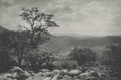 Mexikanische Landschaft Padmore, E.S.  (German)