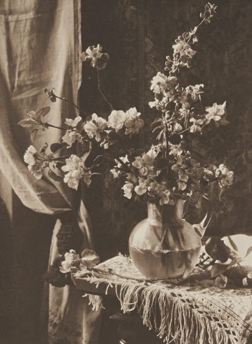 Stilleben Kuehn, Heinrich  (Austrian-German, 1866-1944)