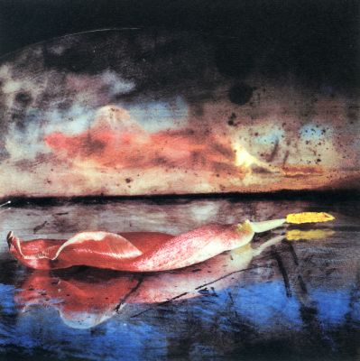 Naturaleza Muerta 186