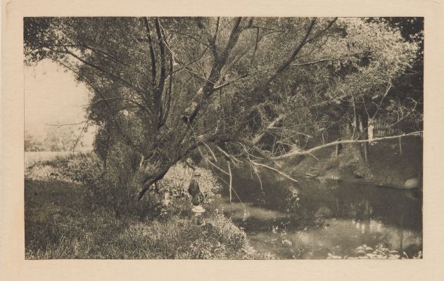 Still Waters