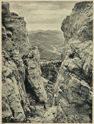 White-Rocks – Deadwood