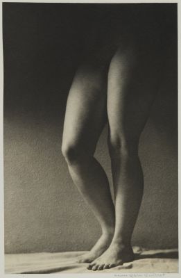 Plate XII from La Déesse Cypris