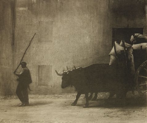 Bullock Cart, Segovia
