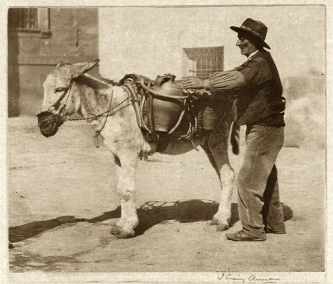 Water Carrier – Toledo