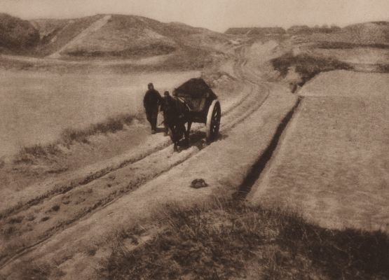The Road Through the Dunes