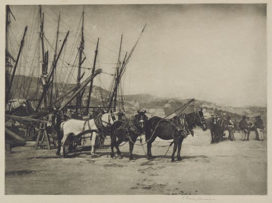 The Harbon, Genoa