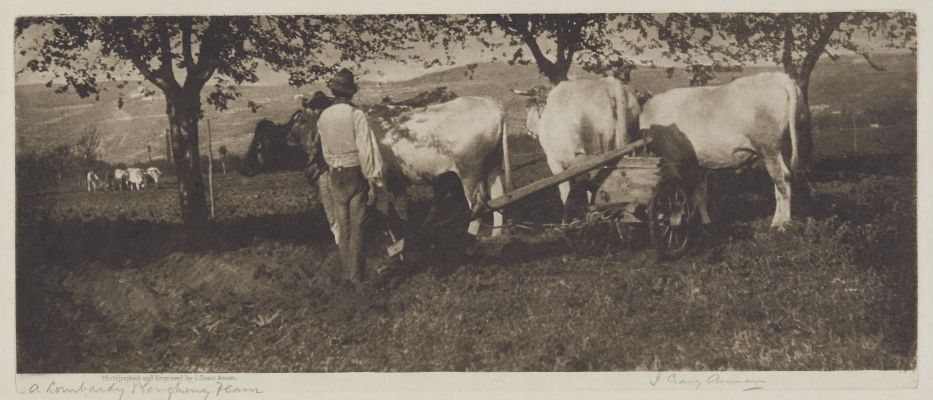 A Lombardy Ploughing Team