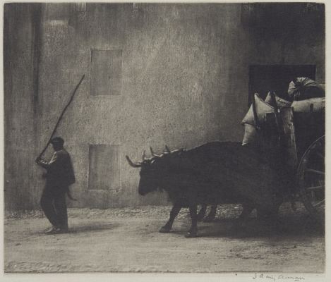 Bullock Cart, Segovia