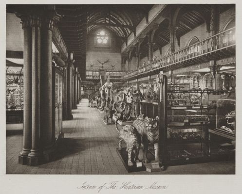 Interior of the Hunterian Musuem