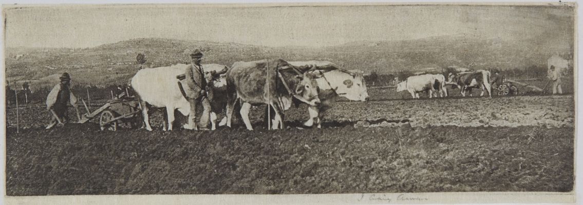 Ploughing on the Campagnetta