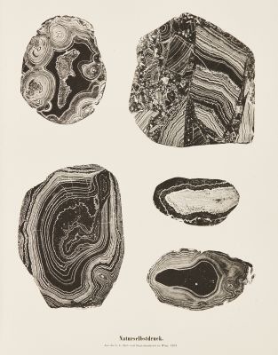 Plate 3 Naturselbstruck