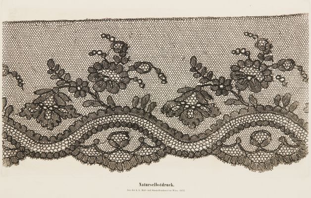 Plate 7 Naturselbstruck