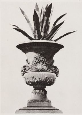 Jardin des Tuileries, Ext. 27