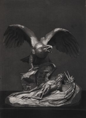 Aigle sur Rochers, Tenant un Héron