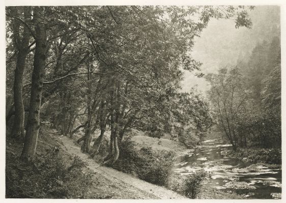 Plate XLI The Path Over the First Brae, Dove Dale