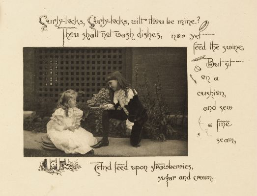 Plate 6