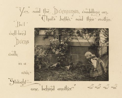 Plate 7