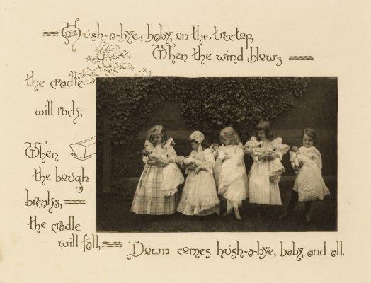 Plate 8