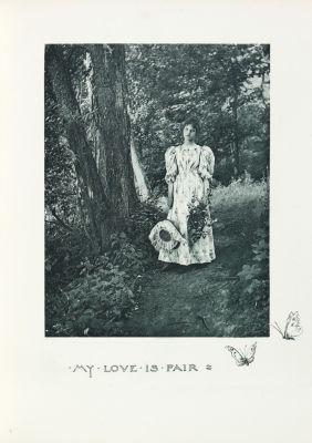 Plate 8