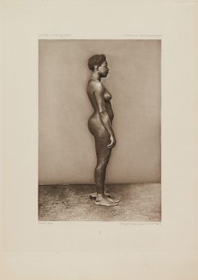 Négresse 1: Cora, age 18, born of a negro father and Indian mother (dorsal)