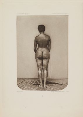 Négresse 3: Cora, age 18, born of a negro father and Indian mother (dorsal)