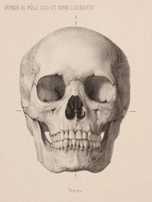 PL 40 Femme (detail)