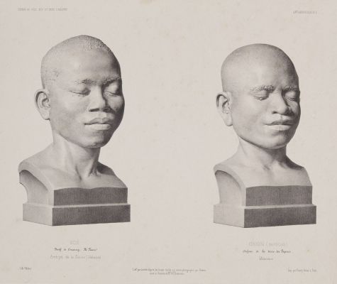 Anthropologie. Pl 11