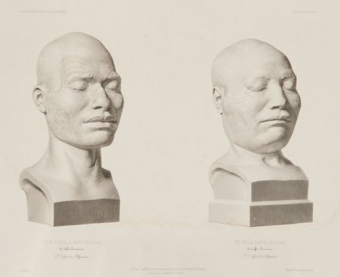 PL. 13 Nouvelle Zélande