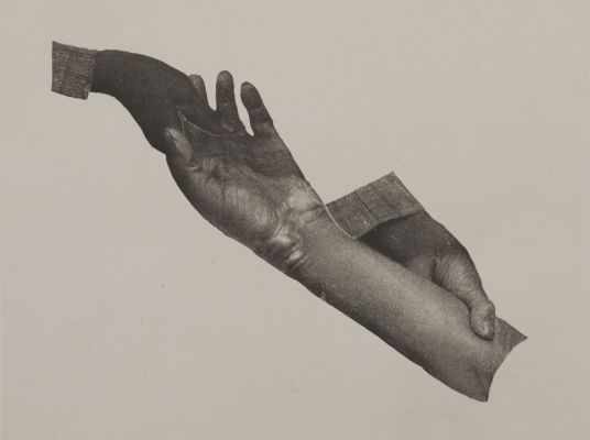 Taf. V Denkschriften d. kais. Akad. d. Wiss. math.-naturw. Classe, Bd. LXVI