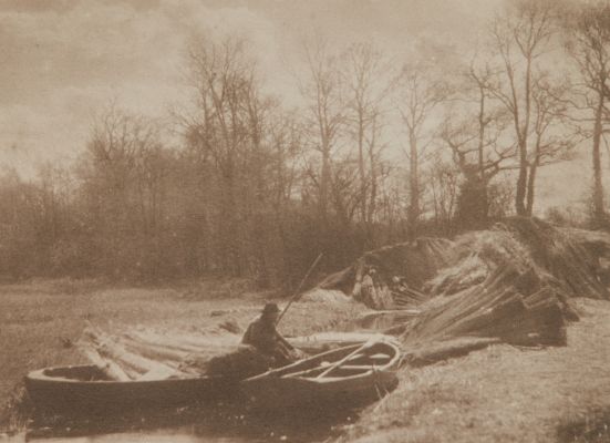 The Curfew of the Sun