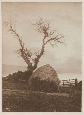 The Curfew of the Sun